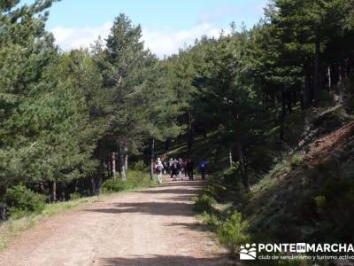 Ruta de Senderismo - Altos del Hontanar; bosque encantado urbasa